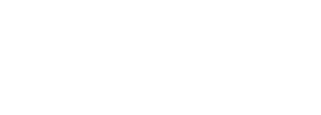 Valentino Group Logo