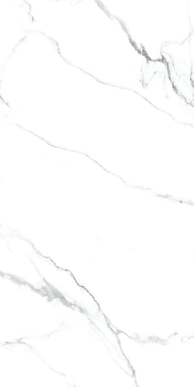 Calacatta Silver