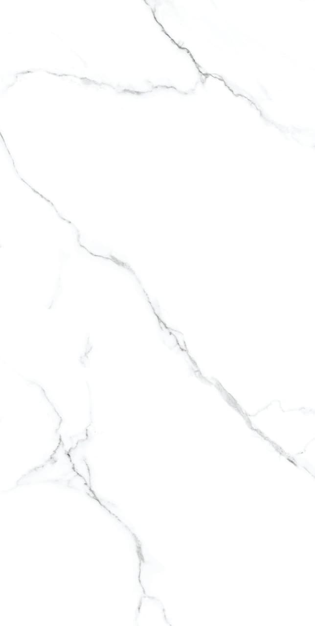 Calacatta Silver thumb 1