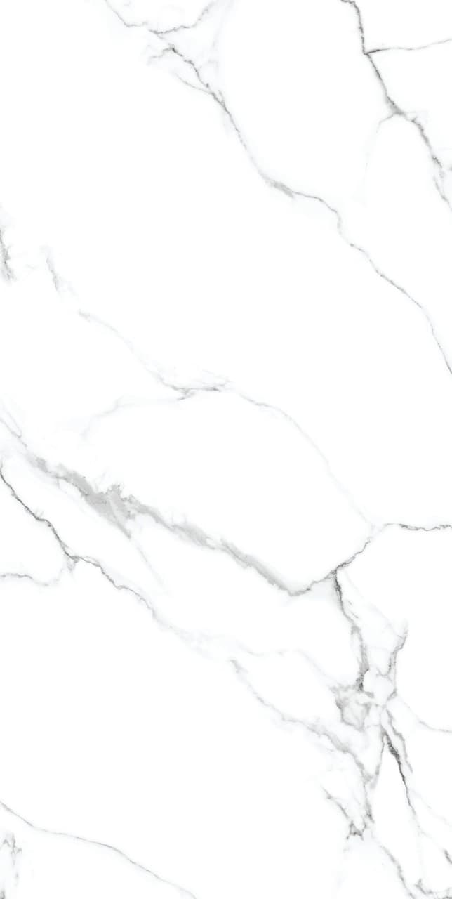 Calacatta Silver thumb 3