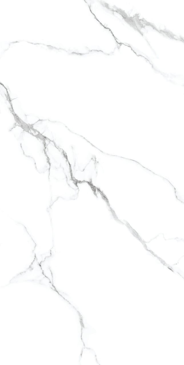 Calacatta Silver thumb 4