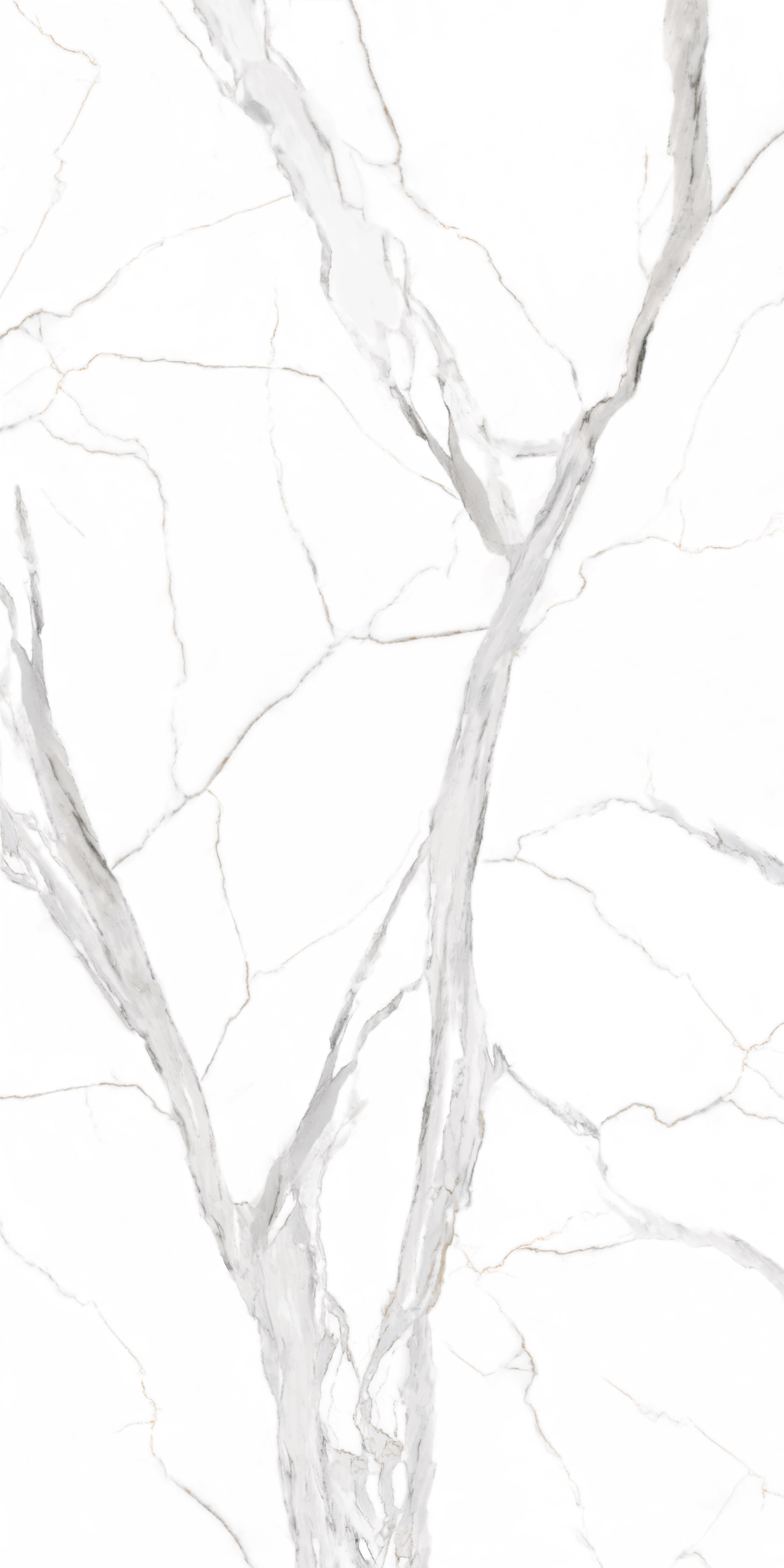 Rue Silver
