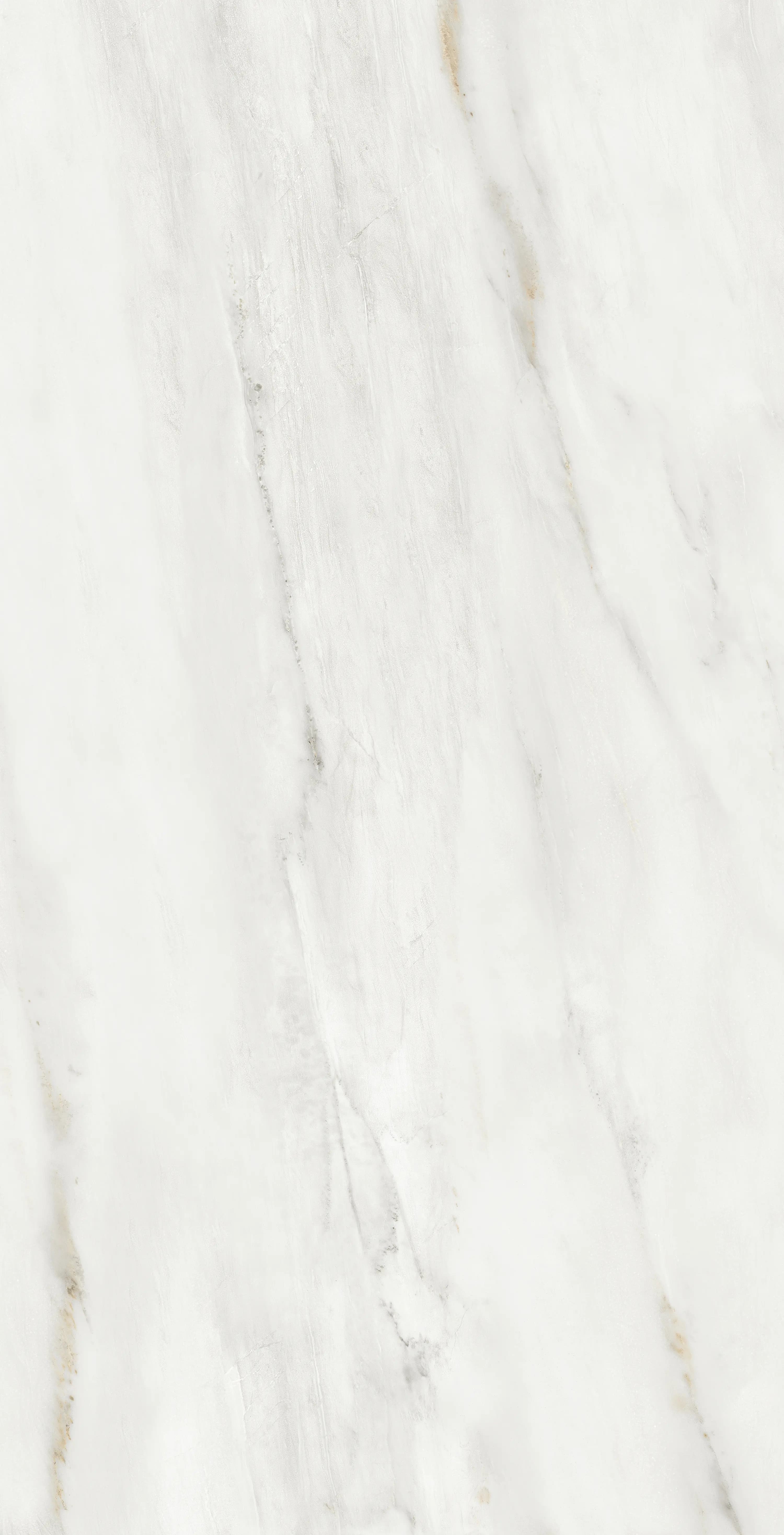 Totti Bianco thumb 1