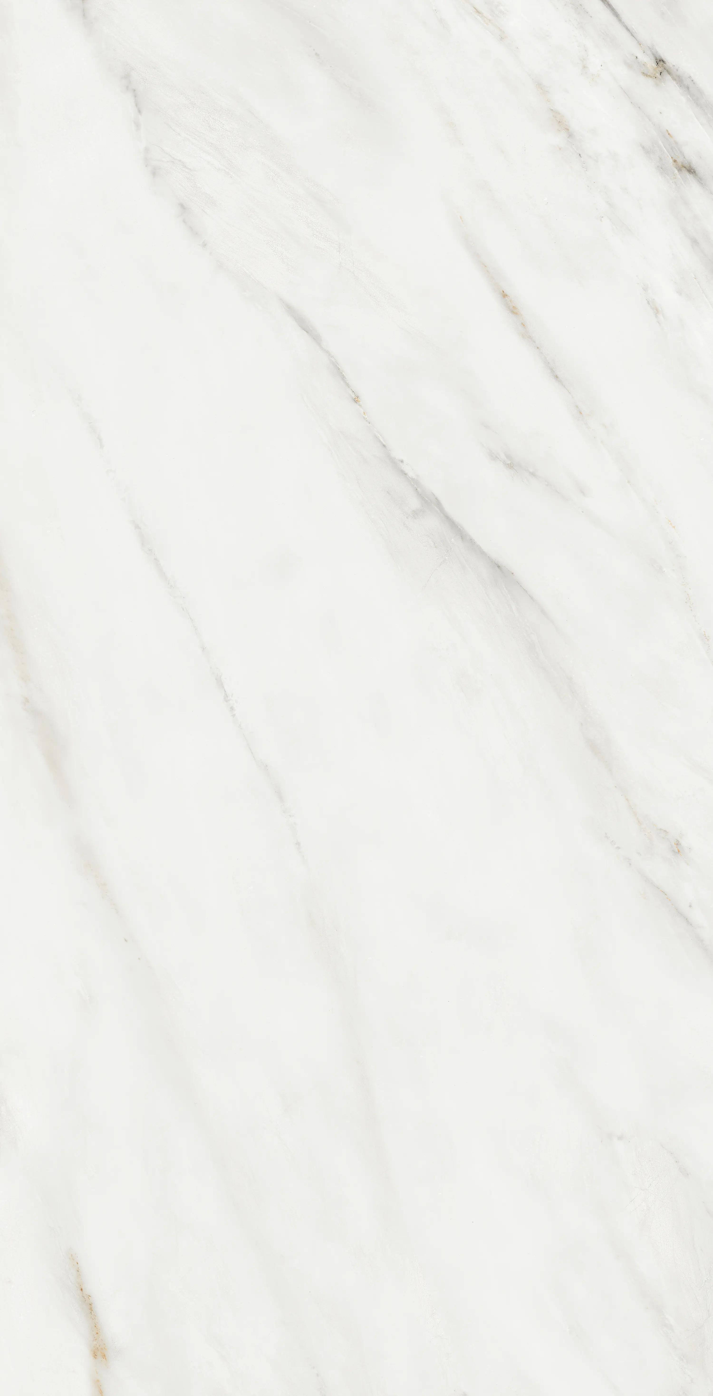 Totti Bianco thumb 3
