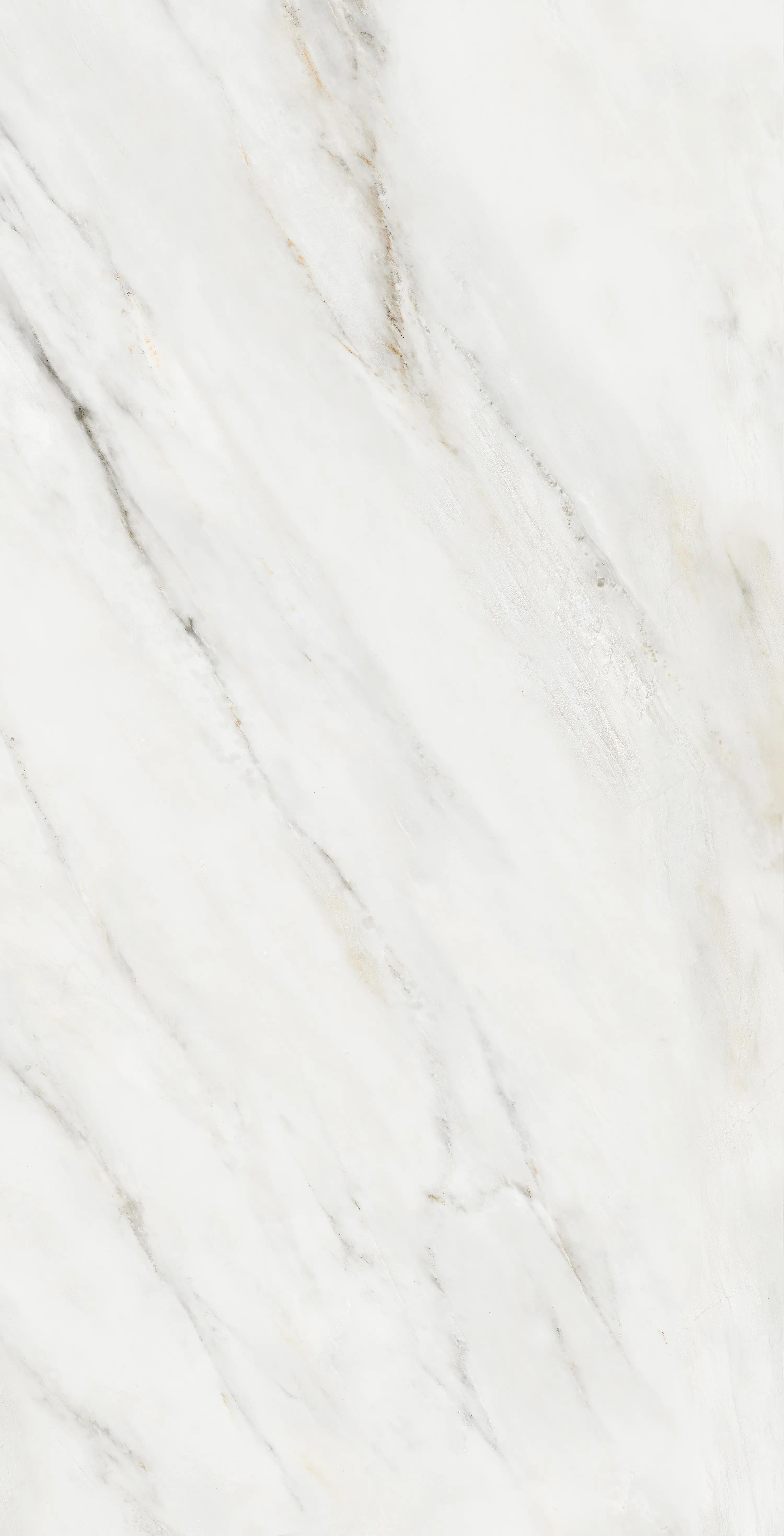 Totti Bianco thumb 4