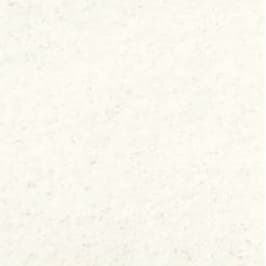 Arctic White